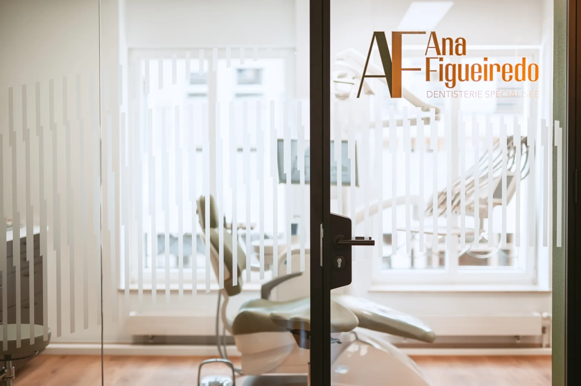 ana-figueiredo-nouveau-cabinet (145)